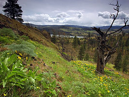 View from above Catherine Creek arch